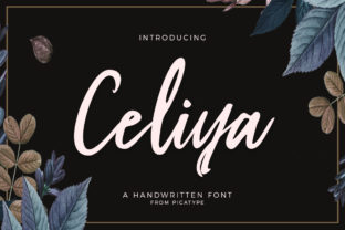 Celiya Script: A Modern Typeface for Elegant Branding