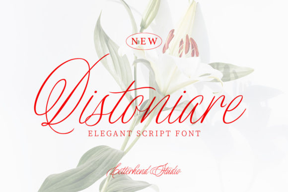 Distoniare Script: Capturing Authentic Style in Your Designs