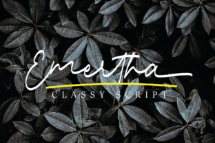 Emertha Script: Elevating Modern Design with Elegance