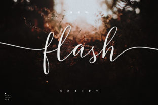 Flash Script: Elevate Your Visual Design