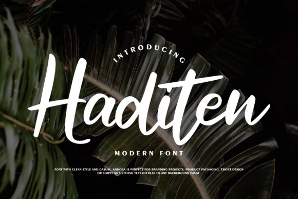 Haditen Script: A Font That Balances Confidence with Style