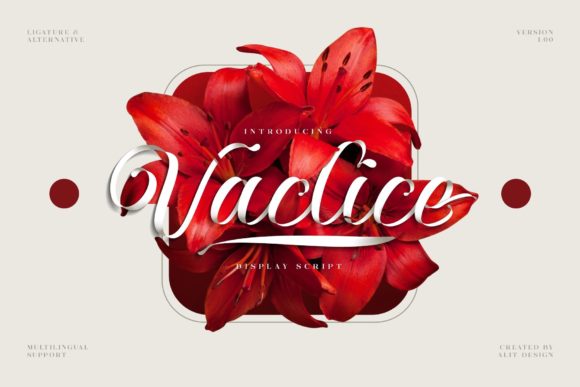 Vaclice Script: A Handwritten Font for Modern Designers