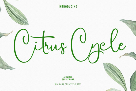 Why Citrus Cycle Script Feels Like Handwritten Art