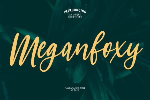 Why Meganfoxy Script is the Handwritten Font Your Brand Needs